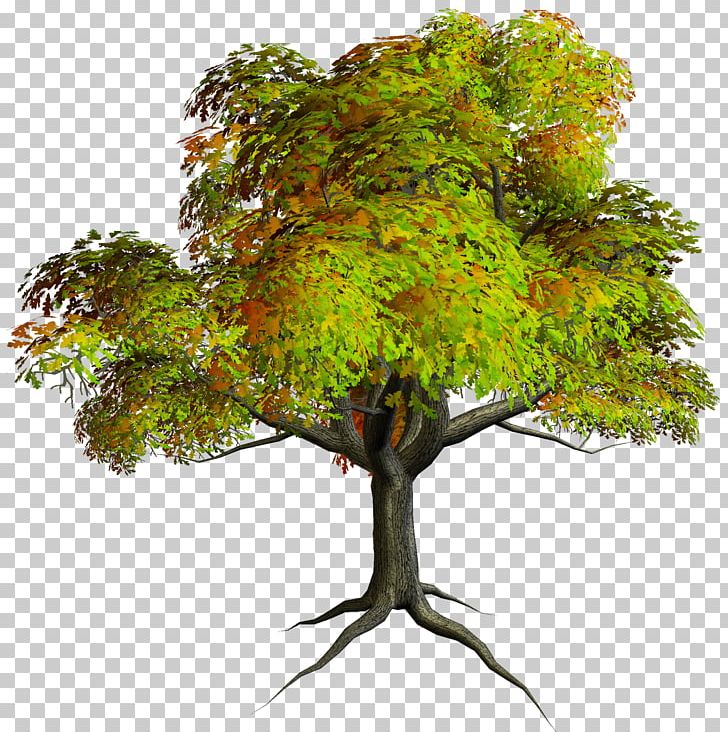 Tree PNG, Clipart, 3d Rendering, Animation, Architectural Rendering,  Branch, Computer Icons Free PNG Download