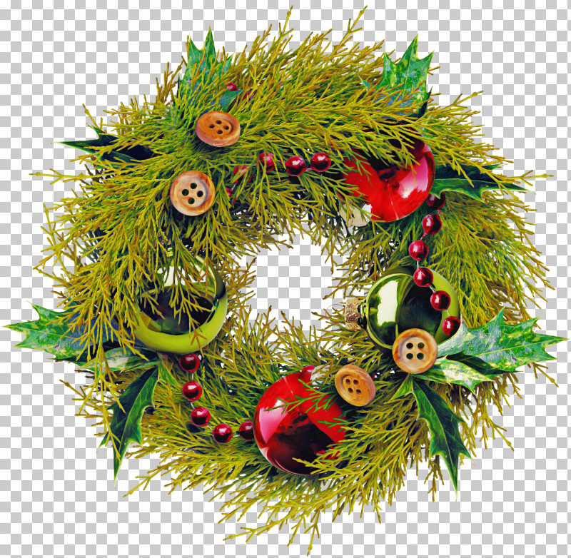 Christmas Decoration PNG, Clipart, Branch, Christmas, Christmas Decoration, Christmas Ornament, Conifer Free PNG Download