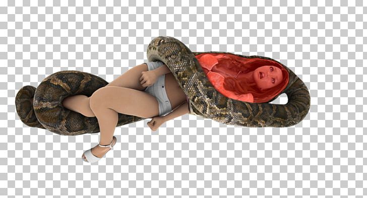Boa Constrictor Shoe PNG, Clipart, Boa Constrictor, Boas, Deviantart, Others, Reptile Free PNG Download