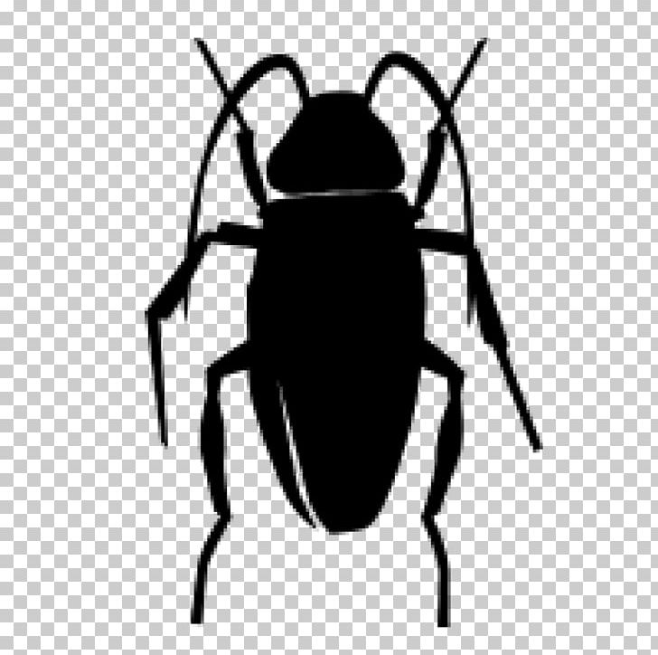 Cockroach Insect Pest Control Four Pests Campaign PNG, Clipart, Acari, American Cockroach, Animals, Arthropod, Artwork Free PNG Download