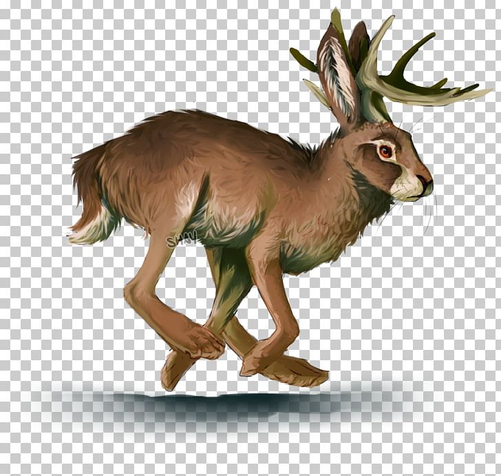 Hare Musk Deer Antelope Jackalope PNG, Clipart, Animal, Animal Figure, Animals, Antelope, Antler Free PNG Download