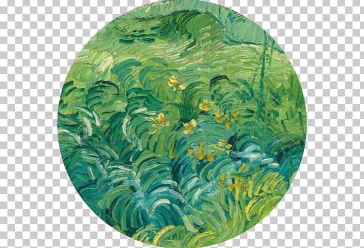 National Gallery Of Art Van Gogh Self-portrait Field With Green Wheat Green Wheat Field With Cypress PNG, Clipart, Aquatic Plant, Biome, Canvas, Field With Green Wheat, Grass Free PNG Download