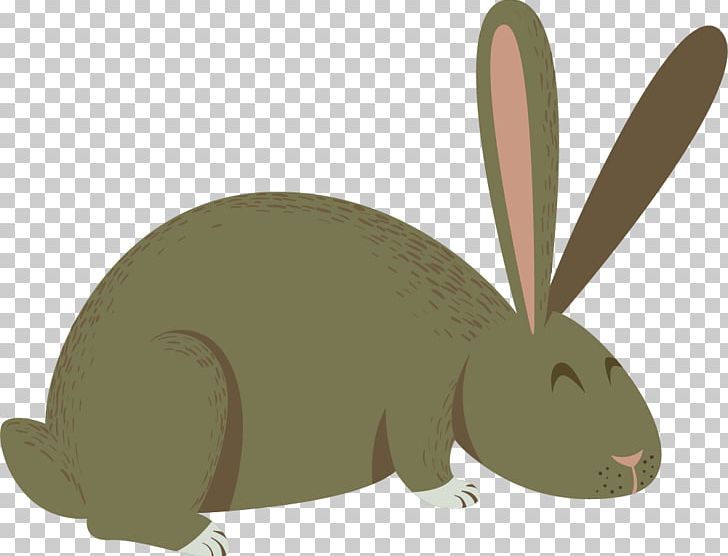 Domestic Rabbit Hare European Rabbit Cartoon PNG, Clipart, Animals, Animation, Backgr, Boy Cartoon, Cartoon Free PNG Download