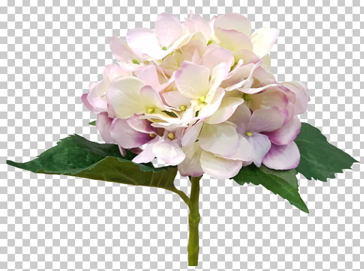 Hydrangea Cut Flowers Floral Design Flower Bouquet Pink PNG, Clipart, Cornales, Cut Flowers, Floral Design, Floristry, Flower Free PNG Download