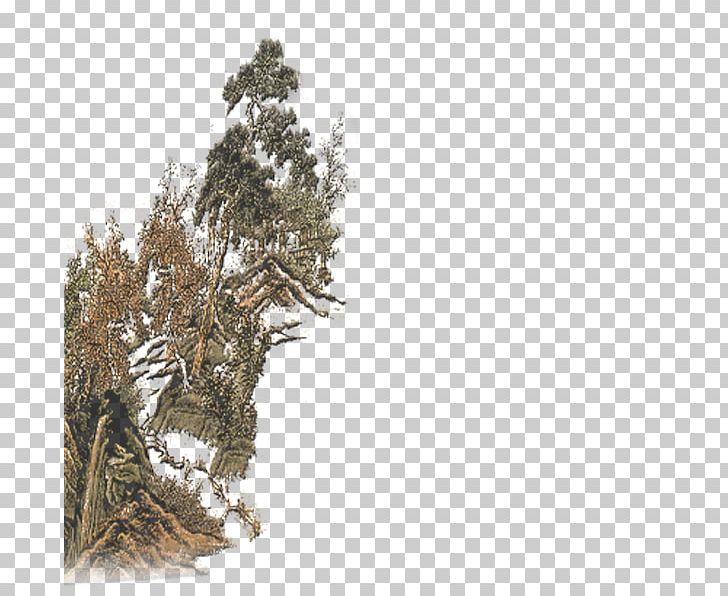 Pine PNG, Clipart, Branch, Church, Church Hill Reef Scenery, Church Hill Scenery, Coral Reef Free PNG Download