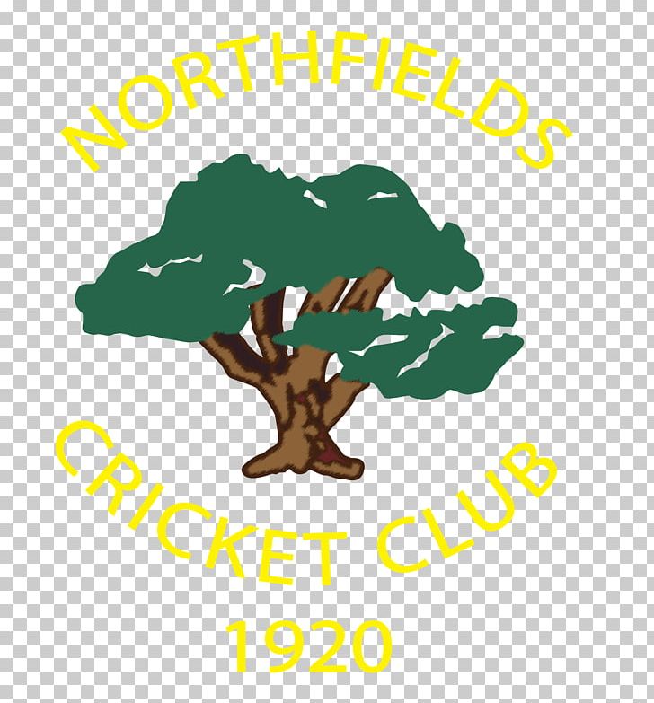 Actonians Sports Club Northfields Logo Human Behavior PNG, Clipart, Area, Artwork, Behavior, Brand, Cricket Wireless Free PNG Download