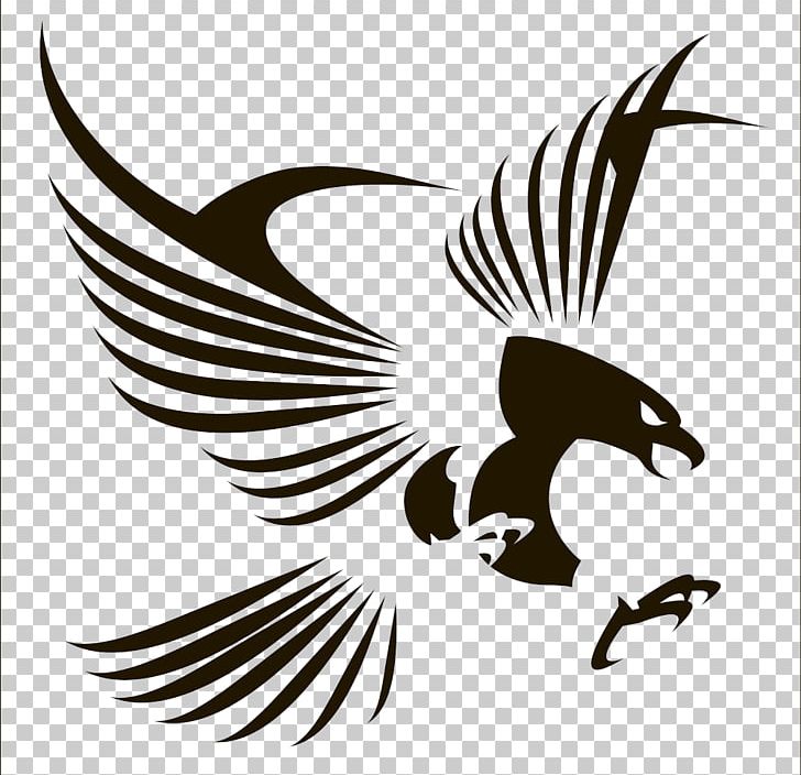 Bird Flight Eagle PNG, Clipart, Animals, Beak, Bird, Bird Of Prey, Fauna Free PNG Download