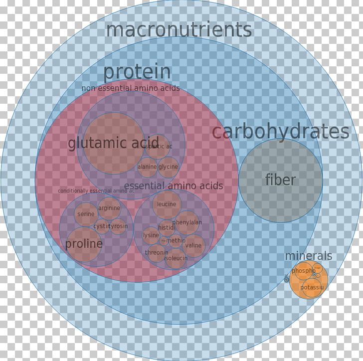 Nutrient Protein Food Low-fat Diet PNG, Clipart, Brand, Calorie, Circle, Communication, Diagram Free PNG Download