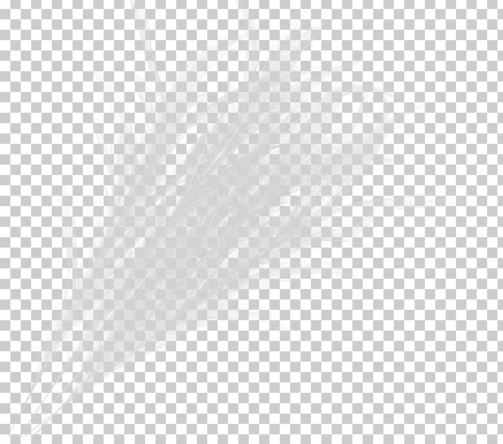 Feather White PNG, Clipart, Animals, Black And White, Feather, Grass, Quill Free PNG Download