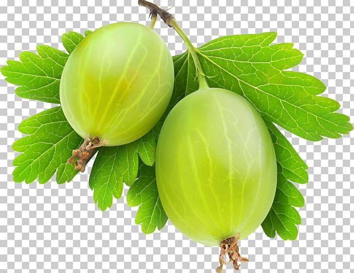 Gooseberry Food Stock Photography PNG, Clipart, Berry, Blackcurrant, Can Stock Photo, Cape Gooseberry, Currant Free PNG Download