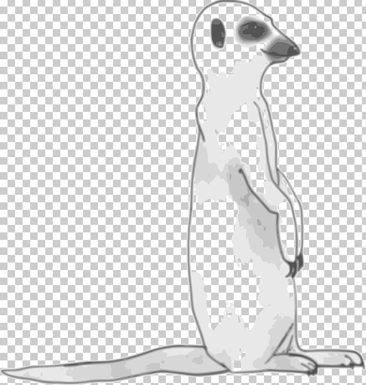 Meerkat PNG, Clipart, Animal Figure, Beak, Bird, Black And White, Carnivoran Free PNG Download