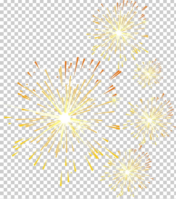 Petal Pattern PNG, Clipart, Bright, Chinese New Year, End, End Of The Year, Firework Free PNG Download