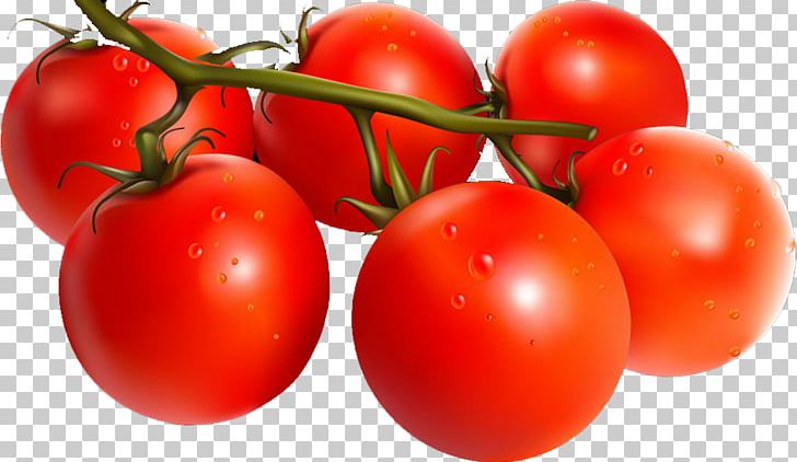 Plum Tomato Bush Tomato Red PNG, Clipart, Bush Tomato, Cherry, Cherry Tomato, Diet Food, Download Free PNG Download
