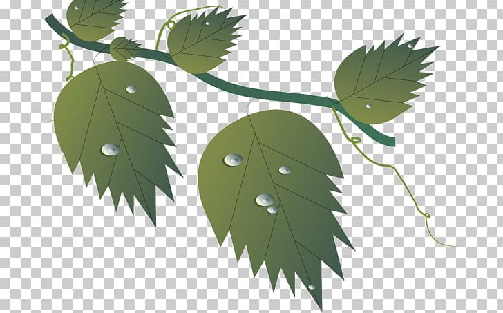 Twig Leaf Déjà Vu PNG, Clipart, 10 June, Autumn, Branch, Deja Vu, Email Free PNG Download