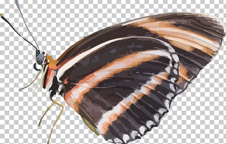 Butterfly Dryadula Phaetusa Insect PNG, Clipart, Animals, Arthropod, Attacus Atlas, Brush Footed Butterfly, Butterflies And Moths Free PNG Download