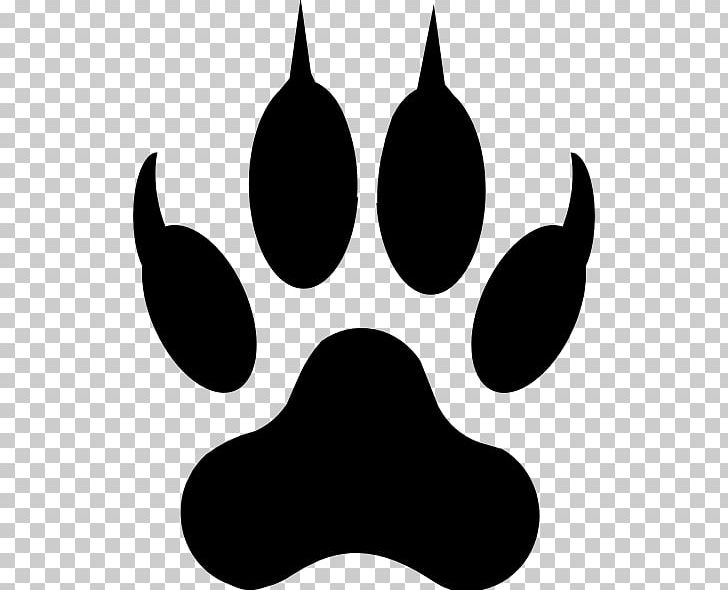 Cougar Paw Tiger Dog PNG, Clipart, American Lion, Animals, Animal Track, Black, Black And White Free PNG Download