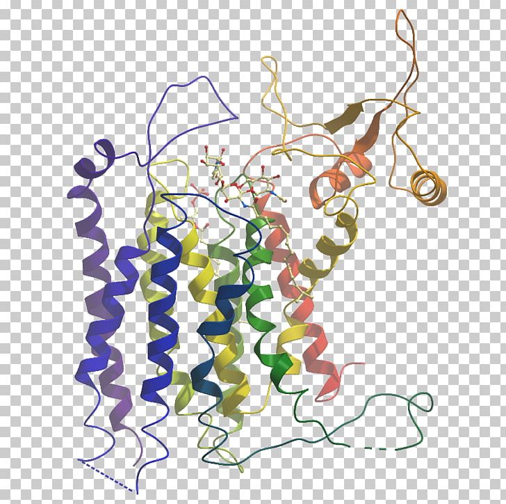 Demethylase Structure Structural Genomics Consortium NTT Data Engineering Systems Corporation Amine Oxidase PNG, Clipart, Area, Art, Body Jewelry, Demethylase, Flora Free PNG Download