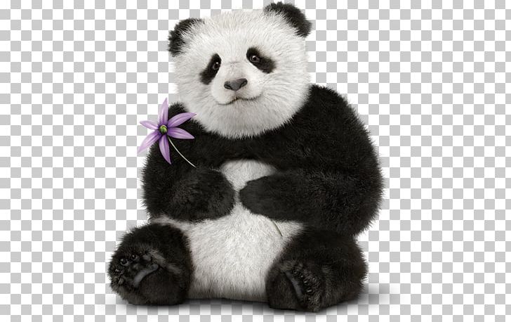 Giant Panda Play-A-Lot Bear Television Instagram PNG, Clipart, Actor, Ani, Animals, Bear, Carnivoran Free PNG Download