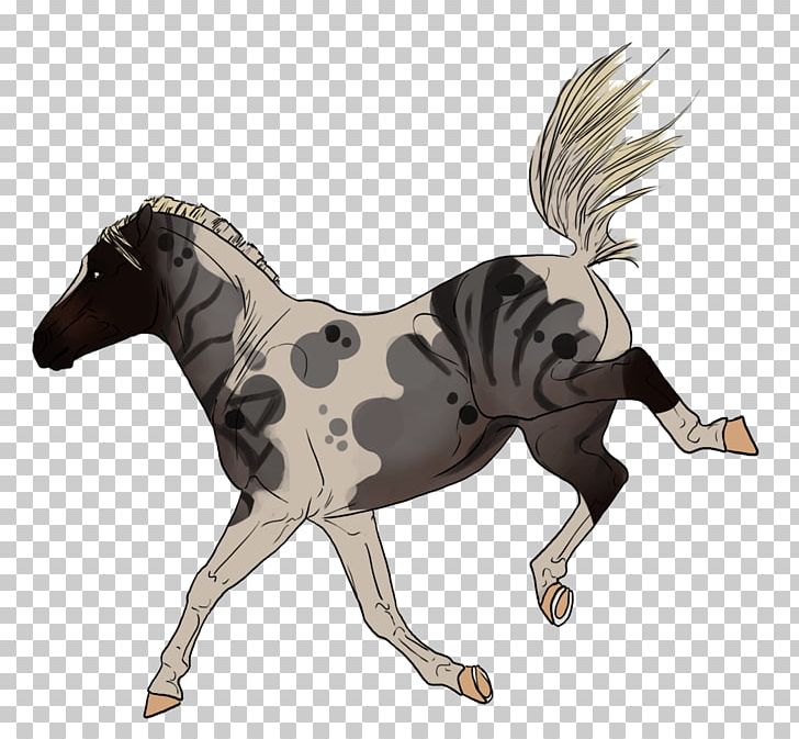 Mustang Stallion Foal Mare Colt PNG, Clipart,  Free PNG Download