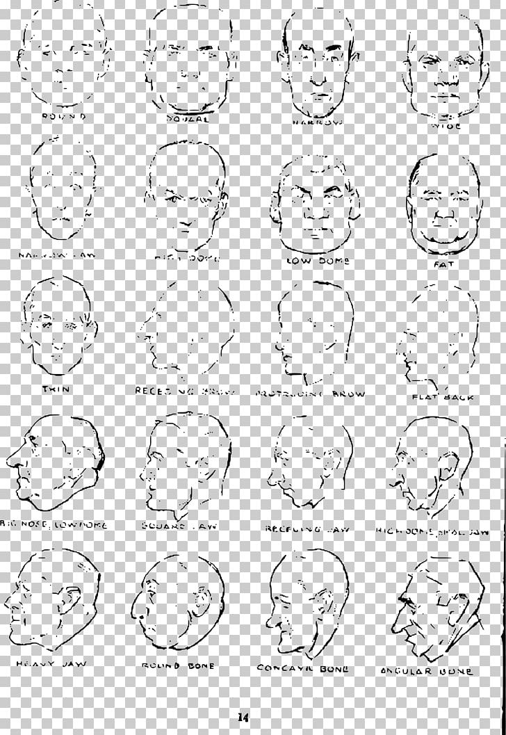 Drawing The Head And Hands Potrace Sketch PNG, Clipart, Andrew, Andrew Loomis, Angle, Area, Black And White Free PNG Download