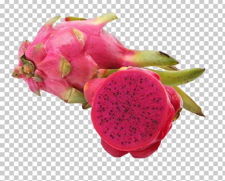 Hylocereus Undatus Pitaya White Auglis Commerce PNG, Clipart, Catty, Dragon, Dragonfruit, Eating, Flowerpot Free PNG Download