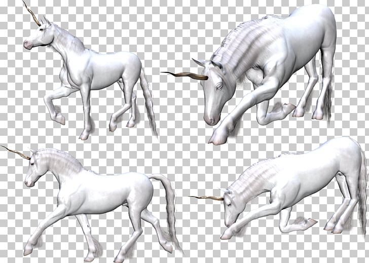Unicorn Horn Unicorn Horn Mane PNG, Clipart, Black And White, Drawing, Fantasy, Fauna, Fictional Character Free PNG Download