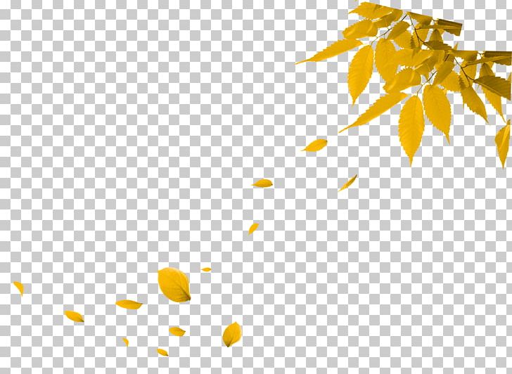 Autumn Leaf PNG, Clipart, Angle, Autumn, Autumn Tree, Deciduous, Euclidean Vector Free PNG Download