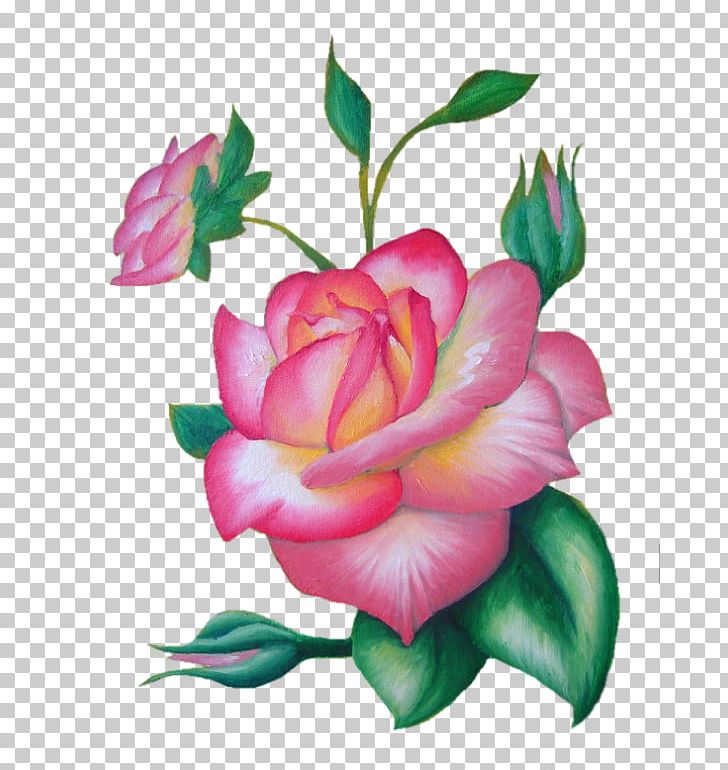 Garden Roses Cabbage Rose Floribunda Bud PNG, Clipart, Annual Plant, Bud, Charcoal, China Rose, Cut Flowers Free PNG Download