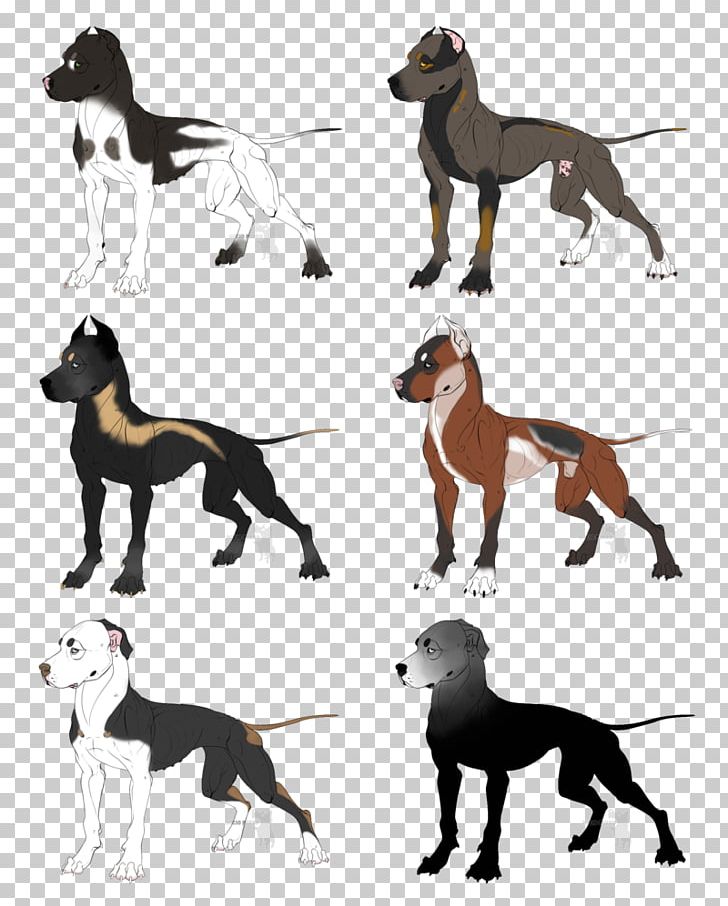 Dog Breed American Pit Bull Terrier Italian Greyhound American Bulldog PNG, Clipart, American Bulldog, American Pit Bull Terrier, Breed, Bulldog, Carnivoran Free PNG Download