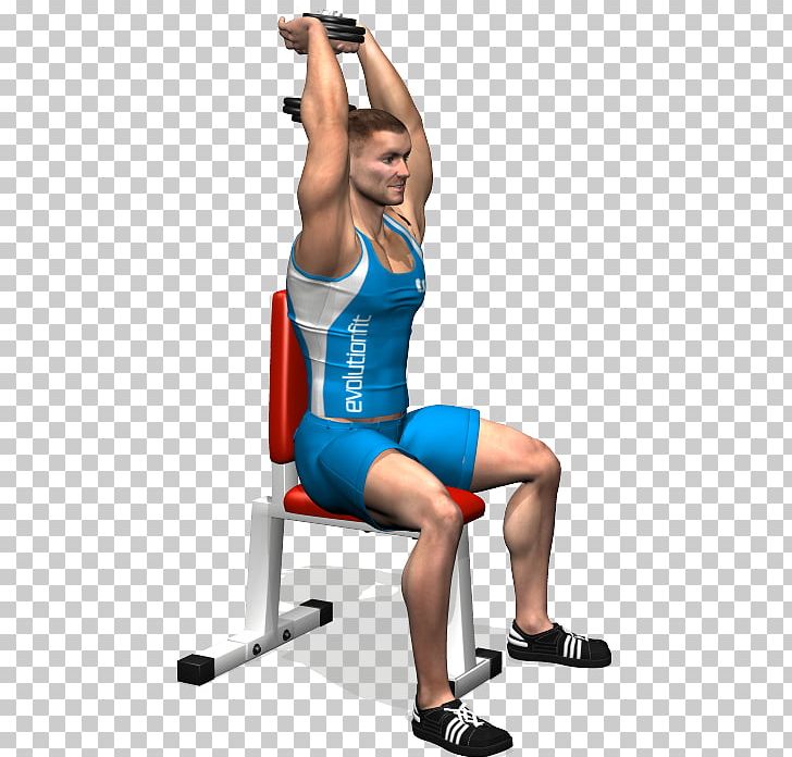 Weight Training Nape Bench Dumbbell Triceps Brachii Muscle PNG, Clipart, Abdomen, Arm, Balance, Exercise Equipment, Exercise Machine Free PNG Download