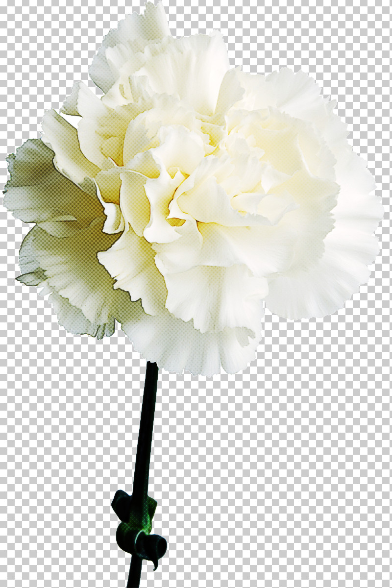 Artificial Flower PNG, Clipart, Artificial Flower, Bouquet, Carnation, Chinese Peony, Common Peony Free PNG Download