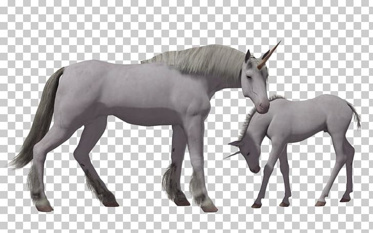 Horse Unicorn Desktop PNG, Clipart, Animals, Colt, Desktop Wallpaper, Donkey, Download Free PNG Download
