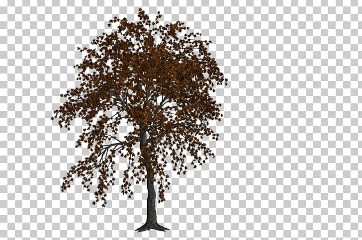 Twig Tree Oak Art PNG, Clipart, Art, Autumn, Autumn Landspace, Birch, Branch Free PNG Download