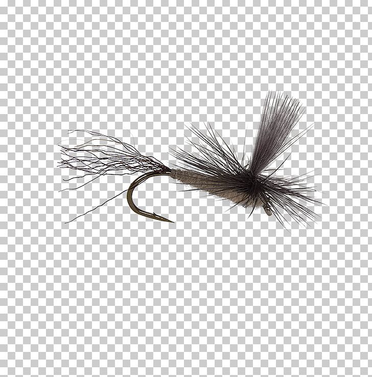 Artificial Fly Fly Fishing Crane Fly Holly Flies PNG, Clipart, Artificial Fly, Crane Fly, Drake, Fishing, Fly Fishing Free PNG Download