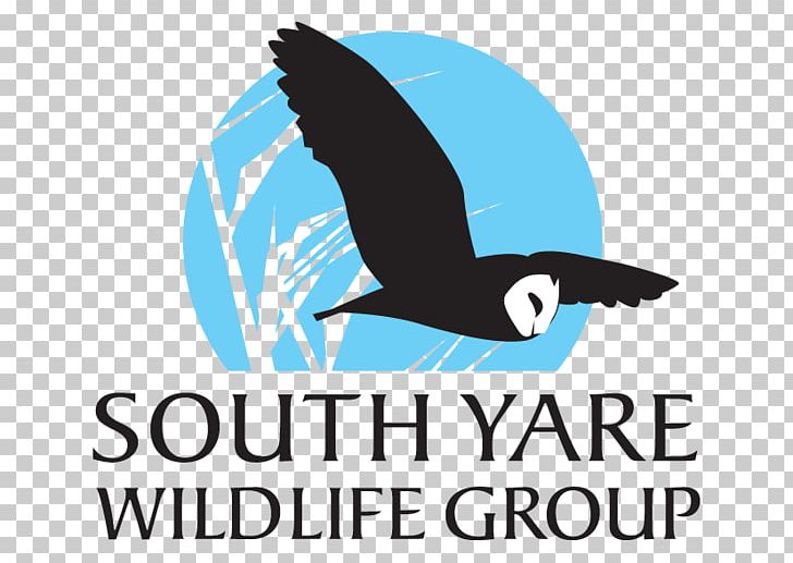 Forest School Logo Wildlife Garden Project PNG, Clipart, Artwork, Beak, Bird, Brand, Child Free PNG Download