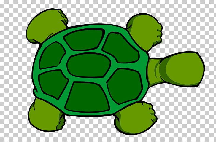 Sea Turtle PNG, Clipart, Animals, Download, Grass, Green, Green Sea Turtle Free PNG Download