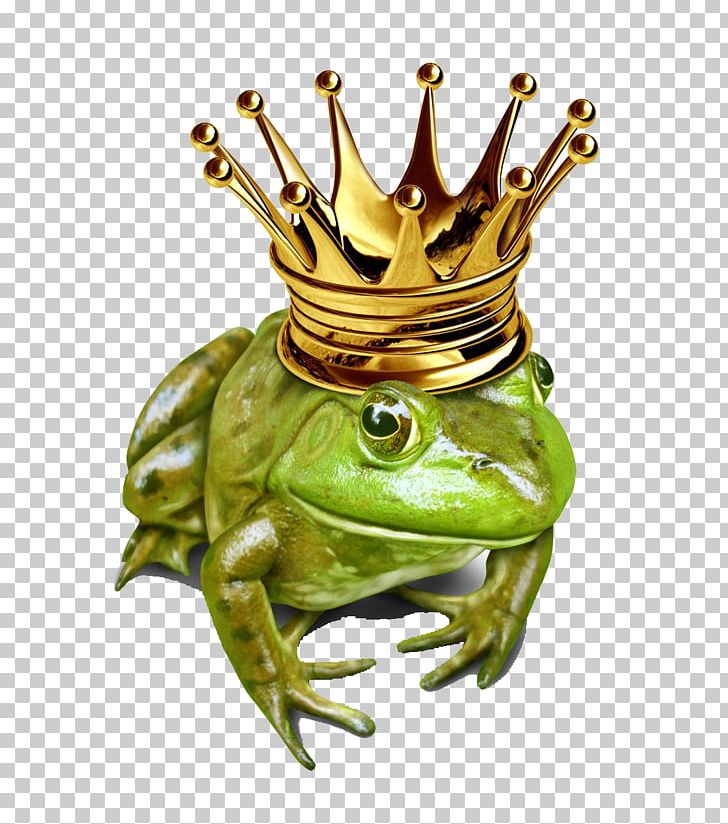 The Frog Prince Illustration PNG, Clipart, Amphibian, Crown, Fairy Tale, Frog, Green Free PNG Download