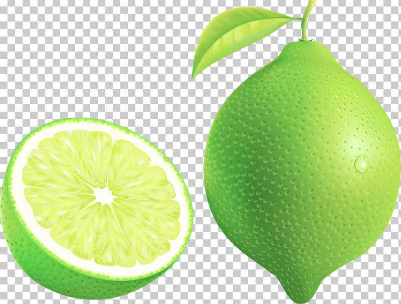 Persian Lime Fruit Citrus Green Lemon PNG, Clipart, Citric Acid, Citron, Citrus, Food, Fruit Free PNG Download