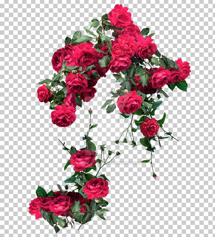 Flower KARD PNG, Clipart, Annual Plant, Art, Artificial Flower, Carnation, Cut Flowers Free PNG Download