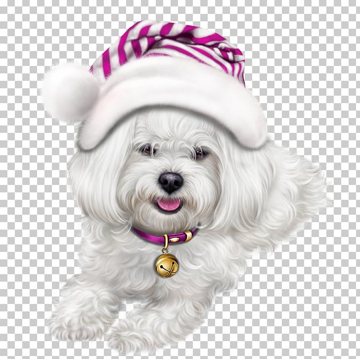 Lhasa Apso Puppy Symbol PNG, Clipart, 2018, Animal, Animals, Bichon, Blog Free PNG Download