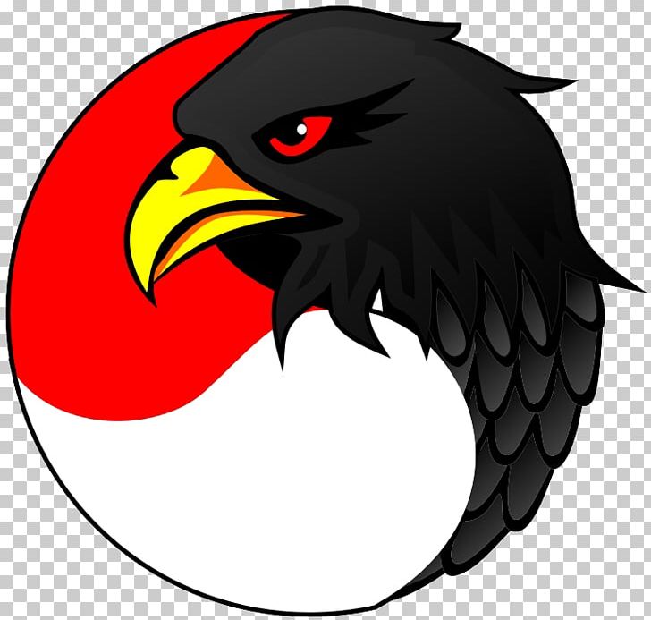 Bald Eagle PT. Elang Mandiri Perkasa PNG, Clipart, Animals, Bald Eagle, Beak, Bird, Bird Of Prey Free PNG Download