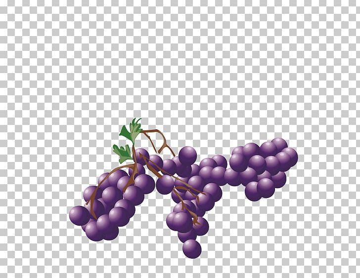Grape Purple Auglis PNG, Clipart, Apple Fruit, Auglis, Blue, Flowering Plant, Food Free PNG Download