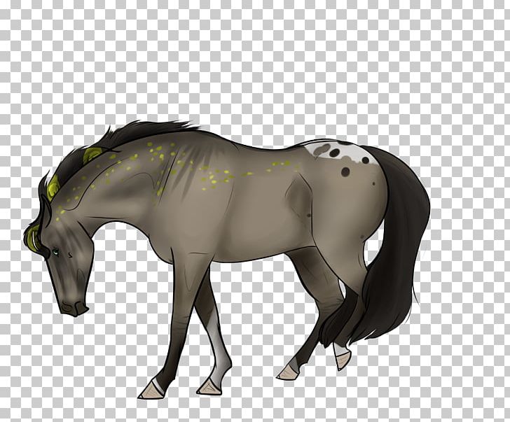 Mane Mustang Stallion Foal Pony PNG, Clipart, Animal Figure, Bridle, Colt, Emerald City, Foal Free PNG Download