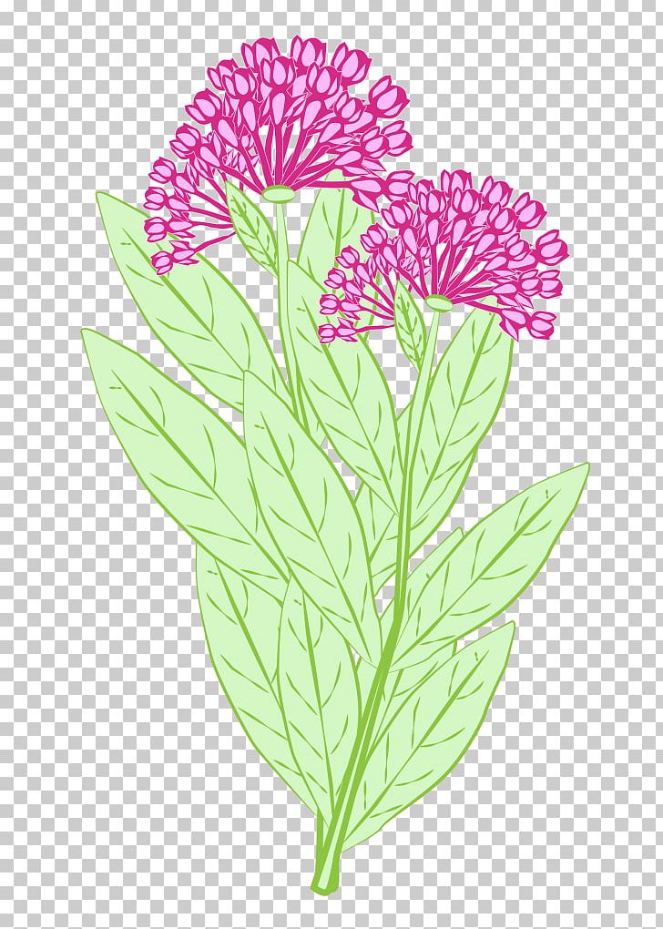 Monarch Butterfly Milkweed Plant Petal Insect PNG, Clipart, Butterflies And Moths, Cut Flowers, David Suzuki, Flower, Flowering Plant Free PNG Download