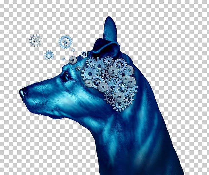 Dog Behavior Snout Gatineau Canidae PNG, Clipart, Animals, Behavior, Blue, Canidae, Dog Free PNG Download