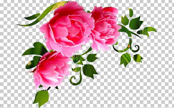 Garden Roses Cut Flowers Wall Decal Floral Design PNG, Clipart, Annual Plant, Carnation, Cicek Resimler, Cut Flowers, Floral Design Free PNG Download