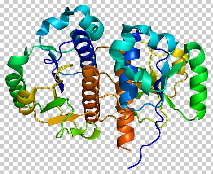 TARBP1 Enzyme Gene Protein PNG, Clipart, Aids, Area, Art, Body Jewelry, Enzyme Free PNG Download
