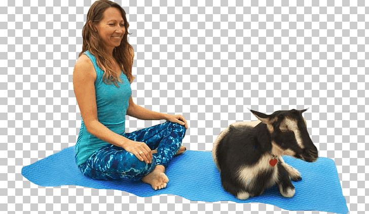 Goat Yoga Instructor Pet Animal-assisted Therapy PNG, Clipart, About, Animal, Animalassisted Therapy, Animals, Crazy Train Free PNG Download