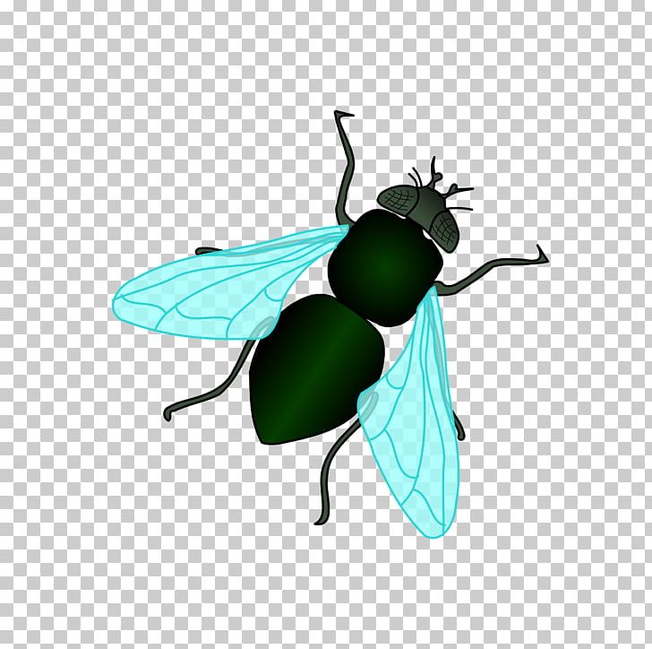 Housefly Insect PNG, Clipart, Arthropod, Blue Bottle Fly, Butterfly, Download, Fly Free PNG Download