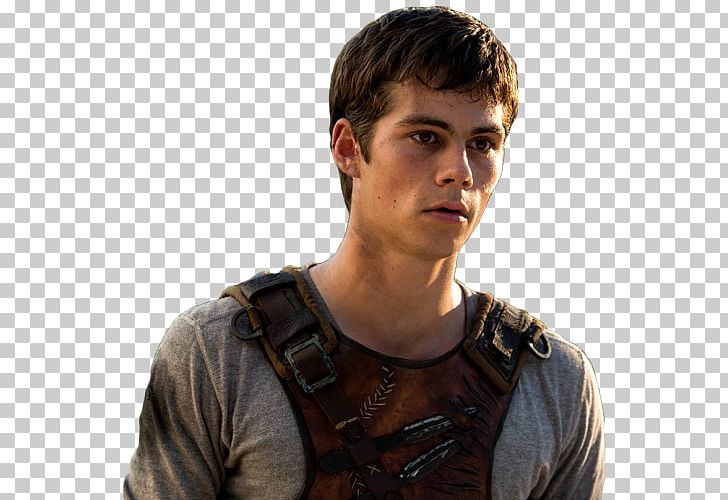 The Maze Runner Dylan O'Brien Teresa Alby Newt PNG, Clipart, Newt, Others, The Maze Runner Free PNG Download